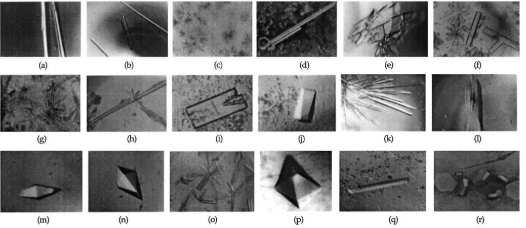 Fig. 4. Comparisons of protein crystals produced in ground-based and flight experiment activities conducted using the PCAM facility on several US Space Shuttle misions