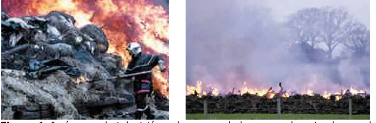 Figura 1. Imágenes de televisión y de prensa de la quema de animales en el  Reino Unido 