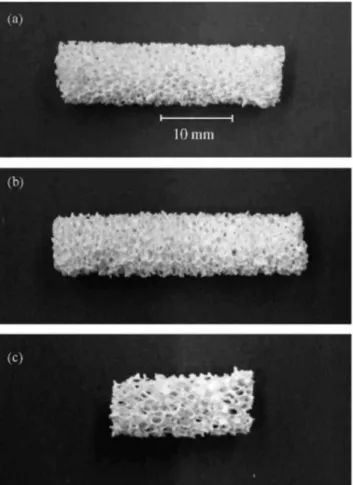 Fig. 1. Digital pictures of the free foams Fl (a), F2 (b), F3a (c). 