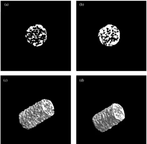 Fig. 3. Microtomographic cross-sections of binary images of free foam F2 (a) and the corresponding binary  images after impregnation F2-P1 (b)