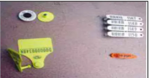 Figure 5: Ear tags 