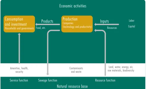 Figure 3.3: Conceptual framework to measure the productivity and  sustainability of economic and environmental goods