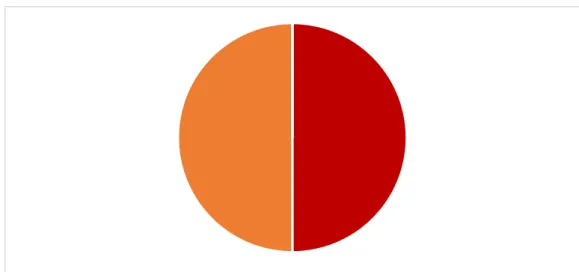 Tableau 5 : Opinions sur l’impact d’un manque d’activité physique sur les rôles 