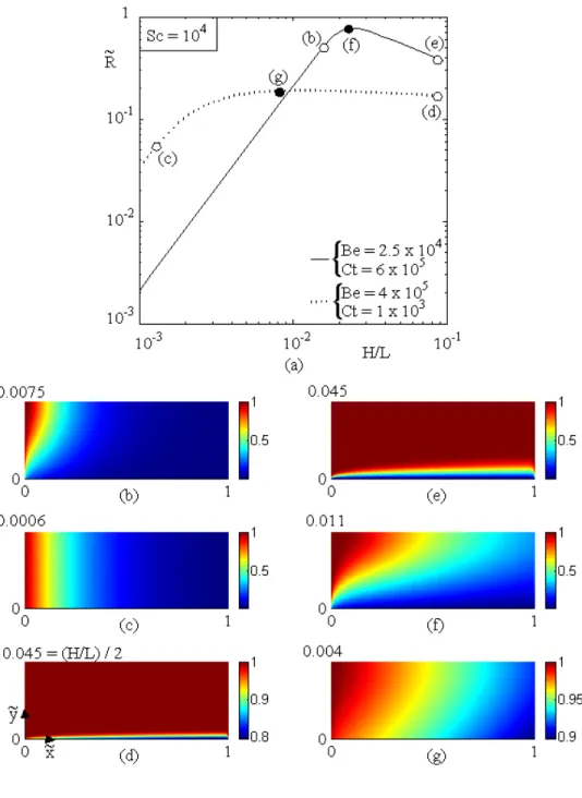 Fig.  4.4  :  Asymptotic  behaviours  of  the  objective  function  from  numerical simulations