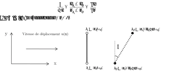 Figure 4 : lois de Hooke et de Newton 