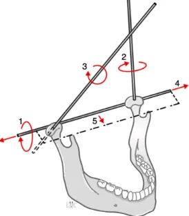 Figure 6 : Les 5 degrés de liberté de la mandibule dans  l’espace (d’après Meyer) [5] 