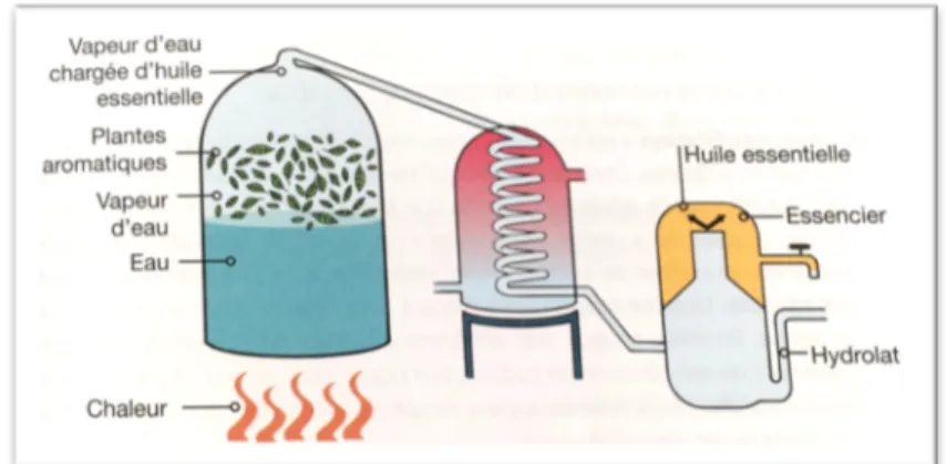 Illustration 10 : Distillation par entrainement à la vapeur d’eau [24] 