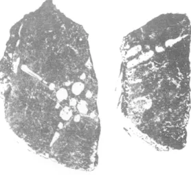 Fig.  6.  Gergovie.  Parcelle 731. 