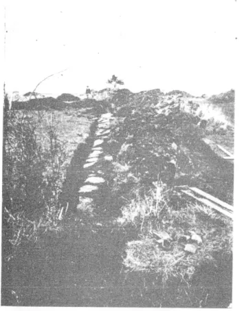 Fig. 8. Substructions  d'un édifice :  bases de 14 colonnes,  sur 50 mètres  de long. 
