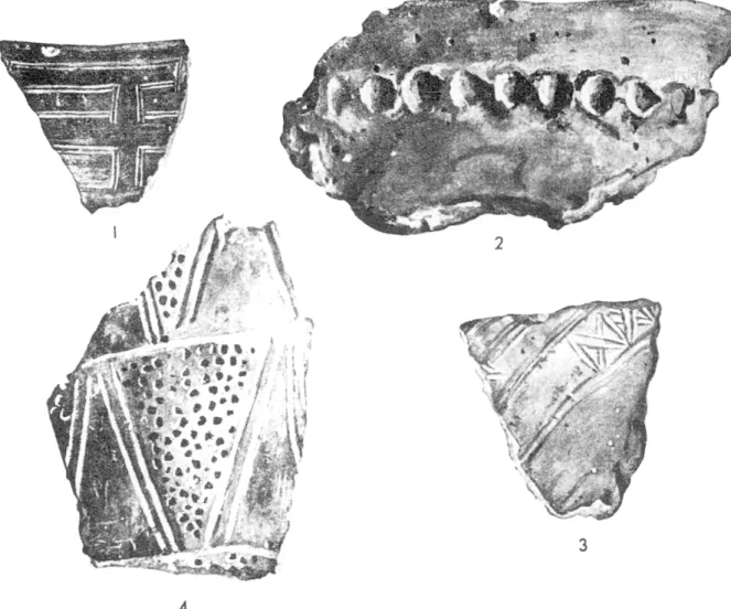 Fig.  7.  Tessons  préhistoriques.  Ages  du  bronze  et du  fer. 