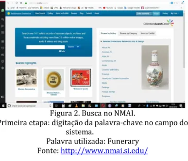 Figura 2. Busca no NMAI. 