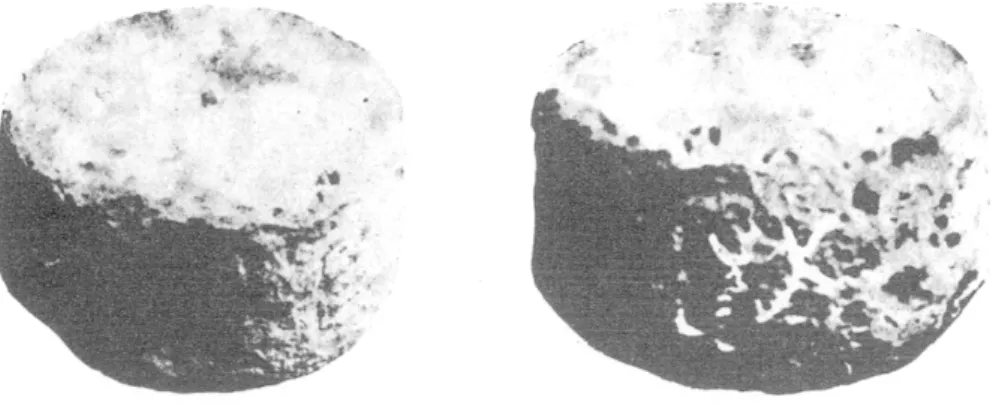 Fig. 9  et  10.  Le  poids  de  pierre. 