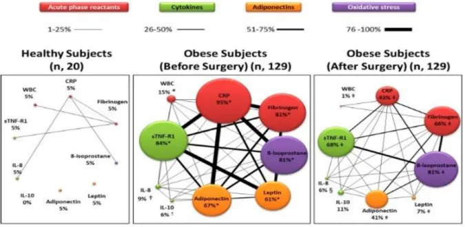 Figure 11 : d’après Arismendi et al., 2014  [818] : Inflammation systémique chez  les sujets en bonne santé et obèses avant et après chirurgie bariatrique