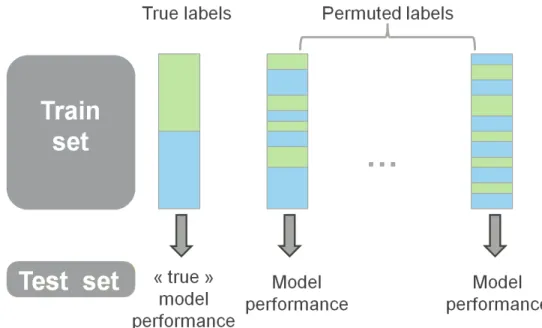 Figure 2.12: Non-parametric testing using permutations. To assess the sig- sig-nificance of the performance of a machine learning based model, permutations are used: the labels of the training set are randomly permuted to obtain  “base-line” model performa