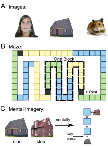 Figure 4.2: Illustration of the experimental setup for the memory con- con-dition. A Example of images of faces, buildings and animals presented to the subject