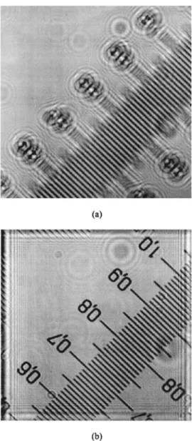 Fig. 2. Refocusing by digital holography on a metric scale 共 100 divisions 兾 mm 兲 . 共 a 兲 Image of the defocused intensity