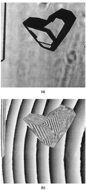 Fig. 4. 共 a 兲 Intensity image and 共 b 兲 phase image of the crystal to be recognized.