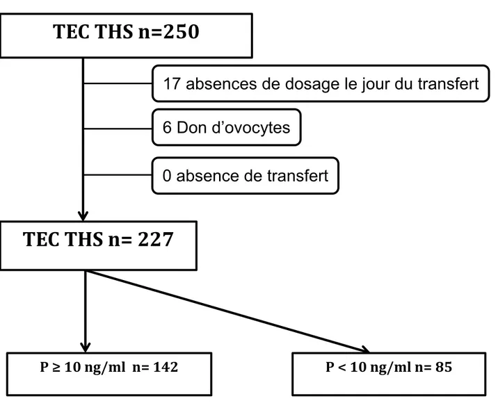 Figure 1 : Issue 250 TEC-THS  