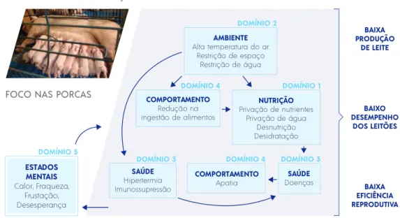 Figura 3. Esquema ilustrativo da aplicação do modelo dos “5 domínios do bem-estar animal” com o propósito de identificar  as causas e consequências da baixa produção de leite pelas porcas