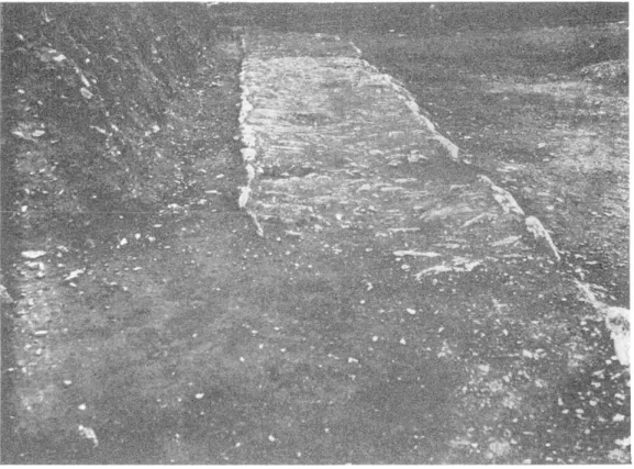 Fig.  9.  Le  chemin  gaulois,  vu  de  face  (vue prise  du  Nord). 