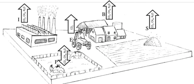 Figure 1.  Représentation des échanges de gaz à effet de serre à l’échelle d’une exploitation d’élevage de bovins  (I=émissions indirectes, E=émissions liées à la consommation d’énergie fossile, S=émissions liées au  stockage des effluents, B=émissions des