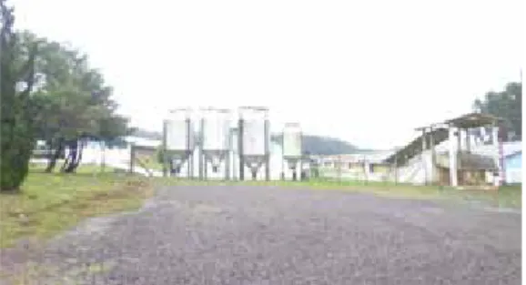 FOTO 03 | Bateria de Silos de Rações do Sistema de  alimentação por fases