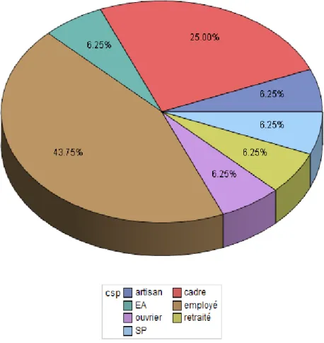 Figure 2 : catégories socioprofessionnelles des aidants selon critères INSEE 