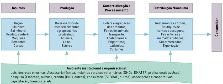 Figura N o  01 – Modelo geral de organização da cadeia produti- produti-va da caprinovinocultura