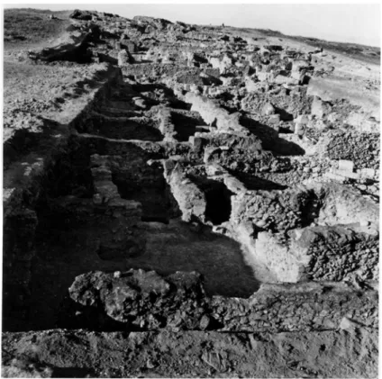 Fig. 1b – Vue générale de la Tranchée Sud-acropole, depuis le Sud (Mission de Ras Shamra).