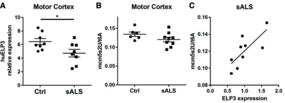 Figure 6. ELP3 expression correlates with wobble mcm 5 s 2 U tRNA modification in sALS patients