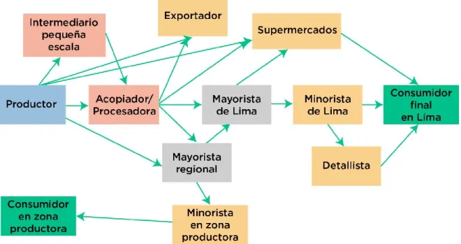 Ilustración 1: Ejemplo de circuitos largos de comercialización (destino Lima) 