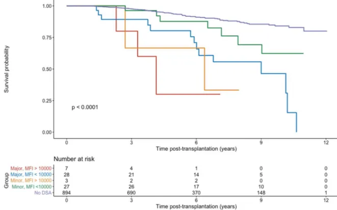 Figure 3: Death-censored graft survival over the whole study population  