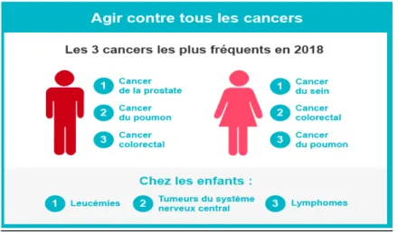 Fig 5. Les cancers les plus fréquents en France, en 2018 [1] 