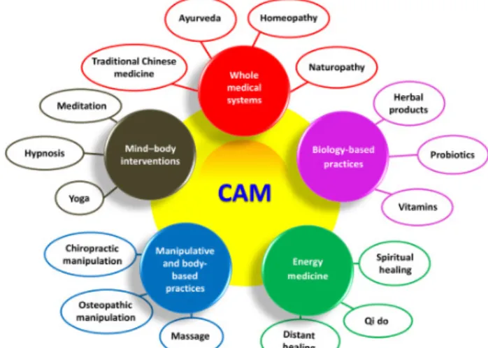 Fig 6. Complementary  Alternative Medecine CAM 