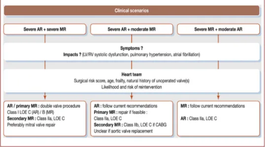 Figure 6. Management strategy according to the severity of aortic regurgitation (AR) and of mitral regurgitation (MR), according to the American Heart Association/American College of Cardiology guidelines for the management of patients with valvular heart 