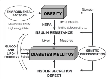 Figure 2 :  Contribution of endocrine pancreas, liver, skeletal muscle  and adipose tissue in the pathogenesis of type 2 diabetes : emerging role  of ectopic fat storage in liver, muscle and beta-cell and of adipose tissue  as an endocrine organ releasing 