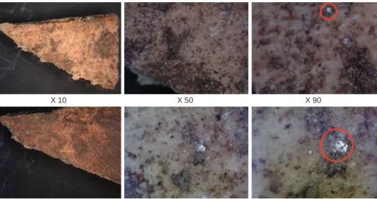 Fig. 6 : Observations à la loupe  binoculaire des échantillons de scapula  de mouton (rangée du haut) et de porc  (rangée du bas) à des grossissements de  10, 50 et 90 (© A