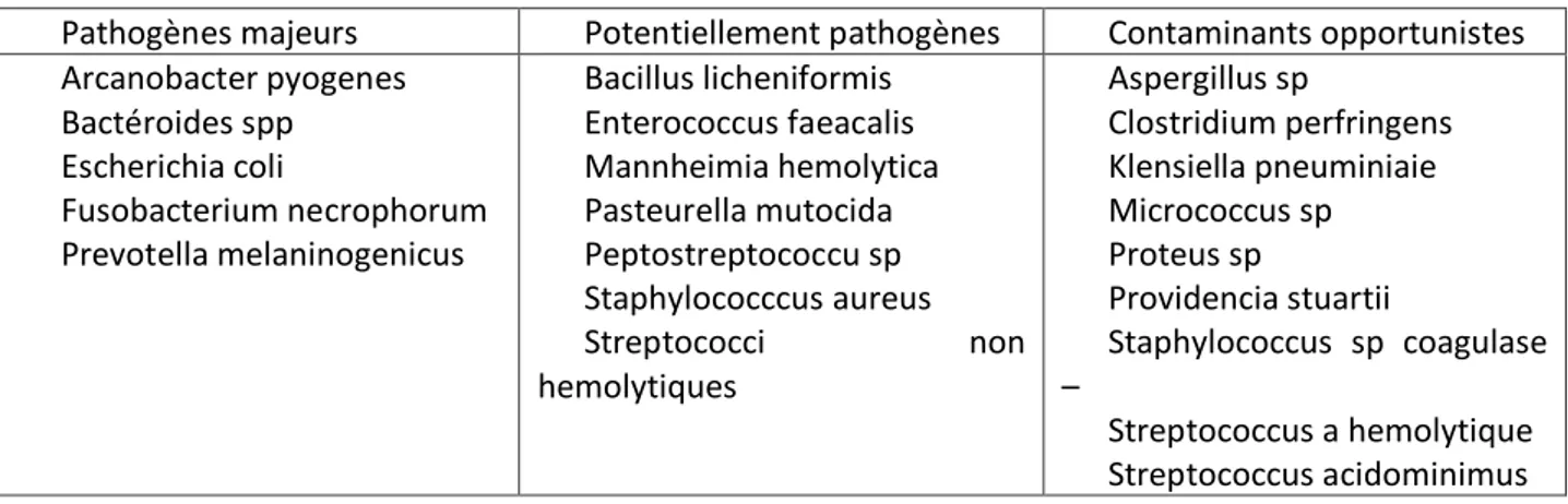 Tableau 2: Classification des germes responsables de endométrites en fonction de leur caractère  pathogène (Williams et al