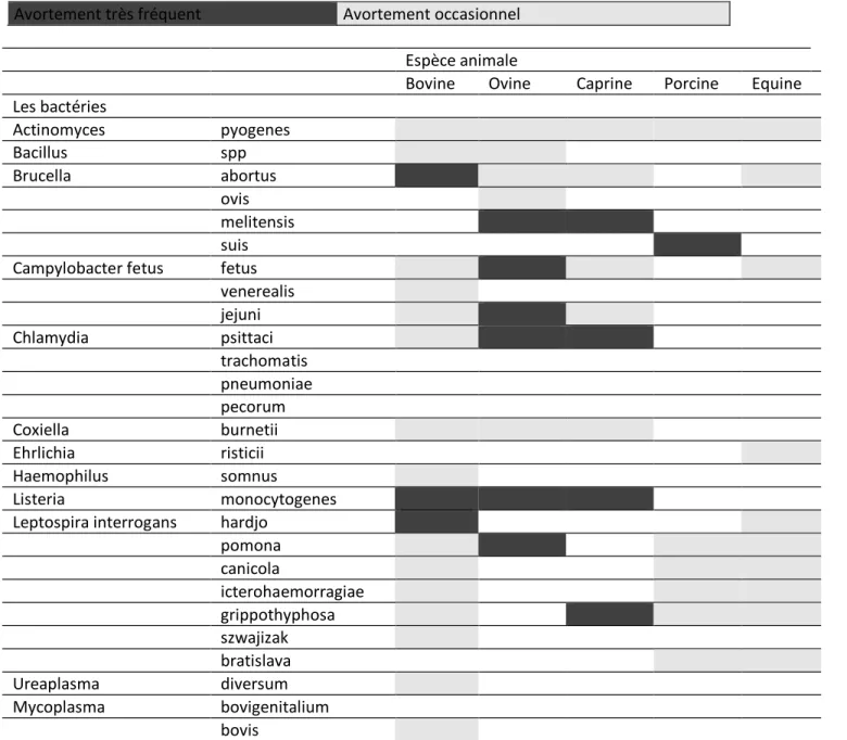 Tableau 2 : Causes biologiques responsables d’avortements dans l’espèce équine et chez les espèces dites de production (bovine, ovine, caprine, porcine) 