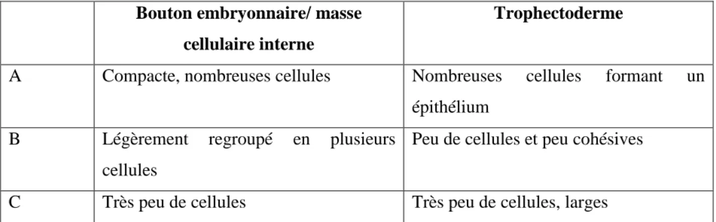 Tableau 1: Classification du bouton embryonnaire et du trophectoderme du blastocyste selon  Gardner 