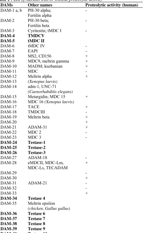 Table 1 : List of ADAMs with or without proteolytic activity 