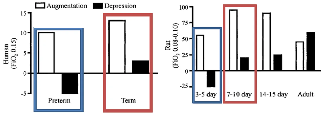 Figure 3 : Aspect développemental de la réponse ventilatoire à l’hypoxie du  nouveau-né humain et du nouveau-né rat