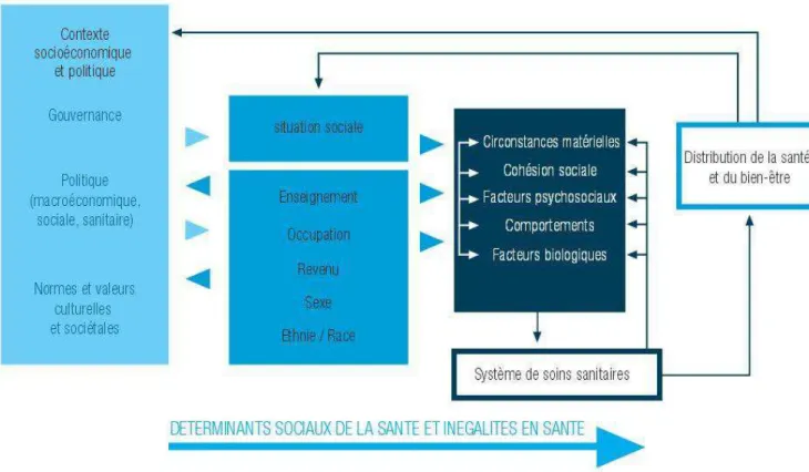 Figure 1 : Cadre conceptuel de la commission des déterminants sociaux de la santé. 