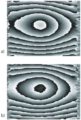 FIG. 6 Phase-maps computed from the grabbed interferograms shown in Figure 6(see text).