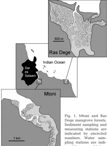 Fig. 1. Mtoni and Ras Dege mangrove forests.