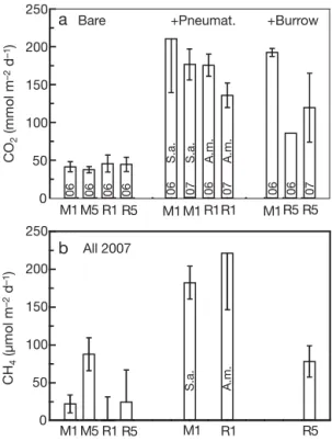 Fig. 4. (a) Emission of CO 2 and (b) CH 4 from air-exposed sed- sed-iment in the dark at Stns M1 and M5 in Mtoni and R1 and R5 in Ras Dege