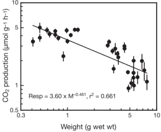 Fig. 5. Respiratory CO 2 production by fiddler crabs (Uca spp.) as a function of live body weight (M)