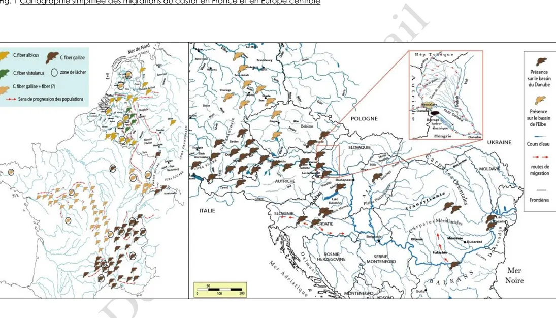 Fig. 1 Cartographie simplifiée des migrations du castor en France et en Europe centrale 