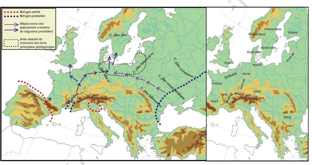 Fig. 4 Aperçu cartographique synthétique des aspects de la colonisation tardiglaciaire de l’Europe par le castor 