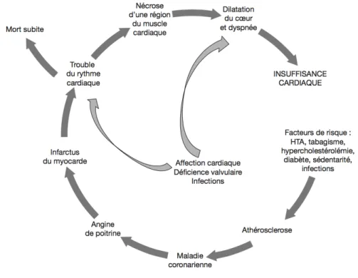 Figure 10 : Etiologies de l'insuffisance cardiaque, Pharmacie clinique et thérapeutique , Jean CALOP 